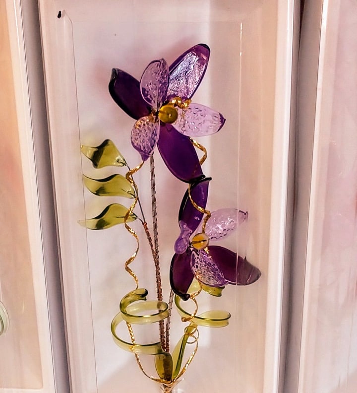 Czechia - Plum Tart Iris